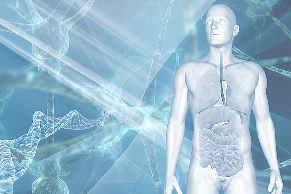 Ganzheitsmedizin - Beratung + Therapie Ganzheitsmedizin - Beratung + Therapie